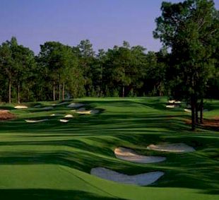 pinehurst3.jpg
